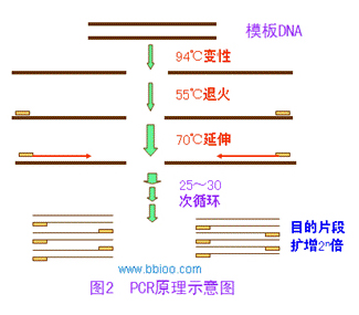 BC贷(中国游)官方网站