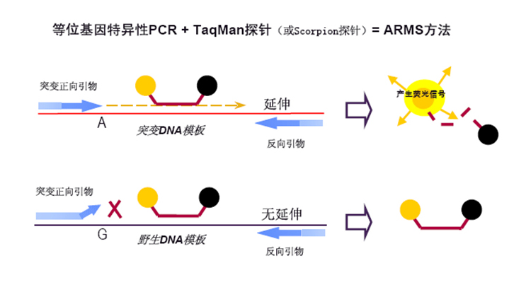 BC贷(中国游)官方网站